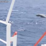 Naufragio al largo della Libia, i resti del gommone in balìa delle onde