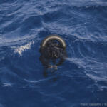 Migranti, strage al largo della Libia: 130 morti. Soccorsi da guardia costiera libica