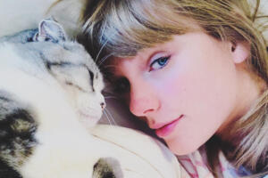 Taylor-Swift