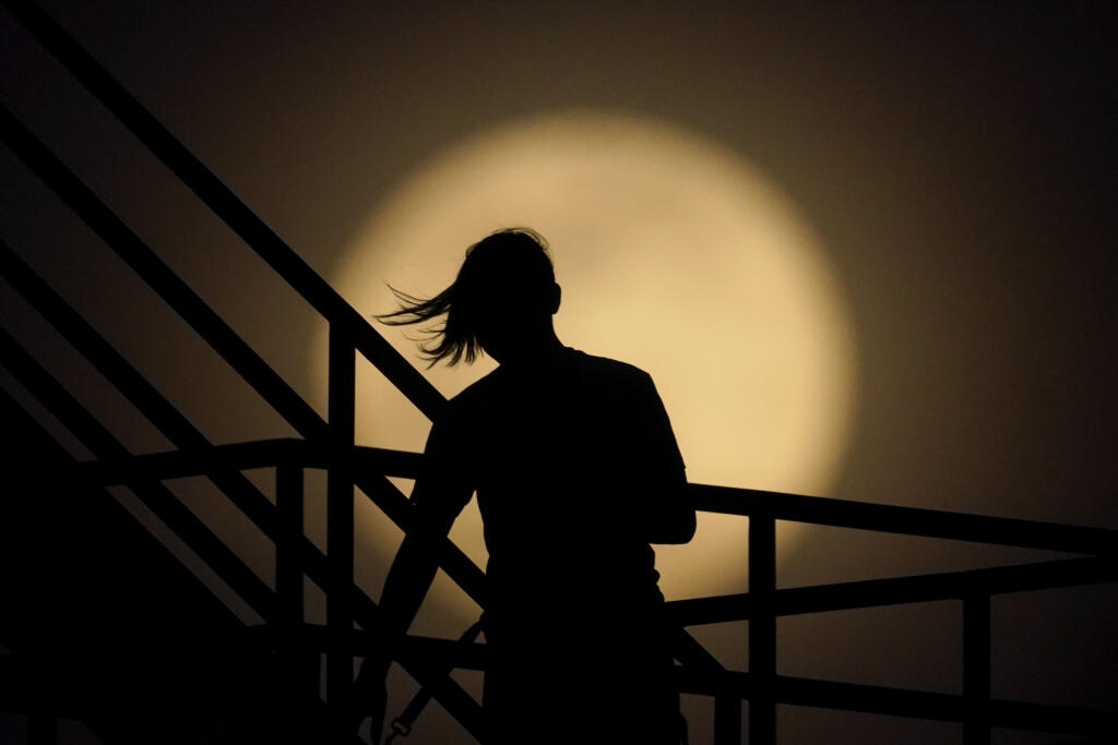 Galleria foto 'Le foto dal mondo della prima Superluna rosa del 2021 | FOTOGALLERY' - foto 3