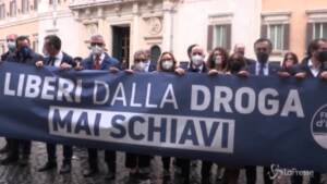 manifestazione parlamentari FdI