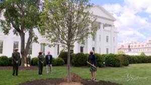Jill Biden pianta un albero alla Casa Bianca