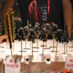 Commissione Ue autorizza insetti come alimenti: è la prima volta