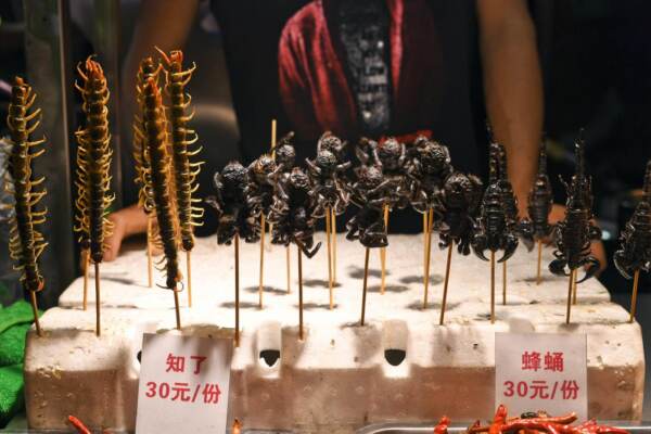 Insetti fritti i vengono venduti in un mercato nella città di Nanning