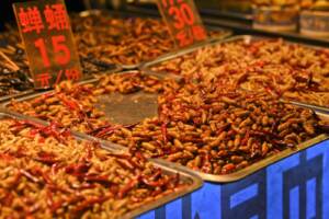 Insetti fritti i vengono venduti in un mercato nella città di Nanning