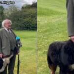 Irlanda: il presidente parla in diretta, il suo cane gli ruba la scena