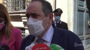 Ddl Zan, Mirabelli