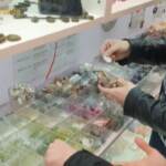 Perle e coralli da specie protette, sequestrati collane e monili in un negozio di Torino