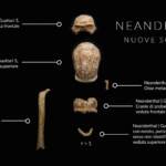 Al Circeo ritrovati resti di nove uomini di Neanderthal