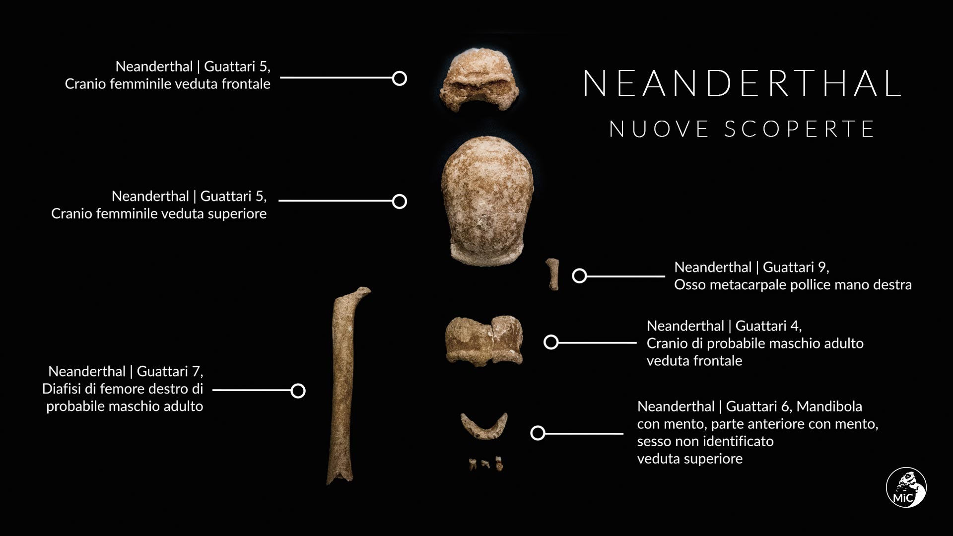 Al Circeo ritrovati resti di nove uomini di Neanderthal