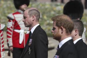 william-harry