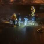 Londra: balena nel Tamigi, i tentativi di salvarla