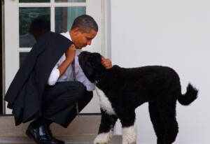 Barack Obama e Bo