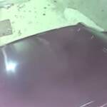 Spaccate e furti, la baby gang in azione a Treviso