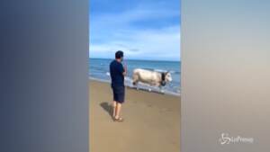 Salvini al mare in Puglia: “Posso andare in spiaggia, è permesso”