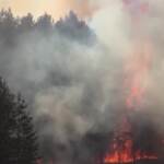 Russia, boschi a fuoco per il caldo anomalo in diverse zone del Paese