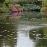 In Francia riaprono i giardini che ispirarono Monet