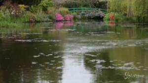 In Francia riaprono i giardini che ispirarono Monet