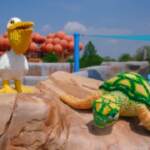 Gardaland riparte il 15 giugno con il Legoland Water Park: “Felici di tornare a far divertire gli ospiti”
