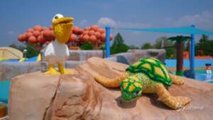 Un frame del video che mostra Legoland