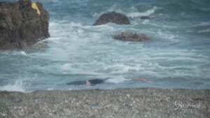 Spiagge di Ceuta