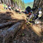 Verbania, precipita una cabina della funivia del Mottarone: almeno 12 le vittime