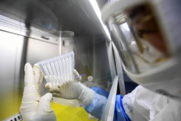 Covid, tre contagi in laboratorio Wuhan a novembre 2019: nuovi dubbi su origine