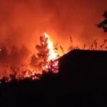 Trapani: brucia Monte Bonifato, case minacciate dalle fiamme ad Alcamo
