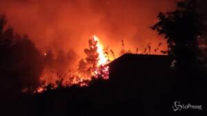 Trapani: brucia Monte Bonifato, case minacciate dalle fiamme ad Alcamo