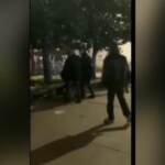 Milano, gli aizzano contro il pitbull: carabiniere azzannato spara al cane
