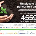 Legambiente, Festa delle farfalle al santuario dell’Elba. Prosegue la raccolta fondi