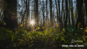 Legambiente, fino al 6 giugno donazioni per l’ambiente