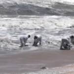 Disastro ambientale in Sri Lanka, militari al lavoro per pulire mare e spiagge