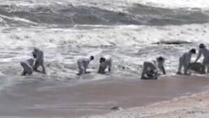 Disastro ambientale in Sri Lanka, militari al lavoro per pulire mare e spiagge