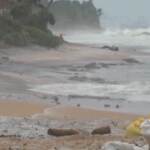 Sri Lanka, spiagge quasi pulite ma resta l’allarme ambientale per la nave affondata