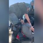 Stradella: sit-in alla Ceva Logistics, polizia sgombera lavoratori in sciopero