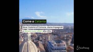Legambiente in azione per l’iniziativa “100 alberi per Catania”