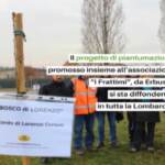 Legambiente lancia un progetto di piantumazione di alberi in Lombardia
