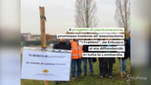 Legambiente lancia un progetto di piantumazione di alberi in Lombardia