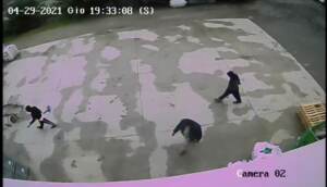 Un frame del video diffuso dai carabinieri che mostra i parenti di Saman Abbas