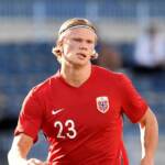 Da Haaland a Ibrahimovic: i grandi assenti del torneo