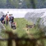 Caso Saman, carabinieri e unità cinofile alla ricerca del corpo