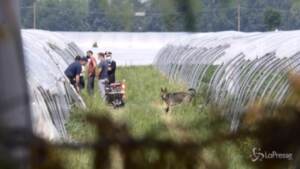 Caso Saman, carabinieri e unità cinofile alla ricerca del corpo