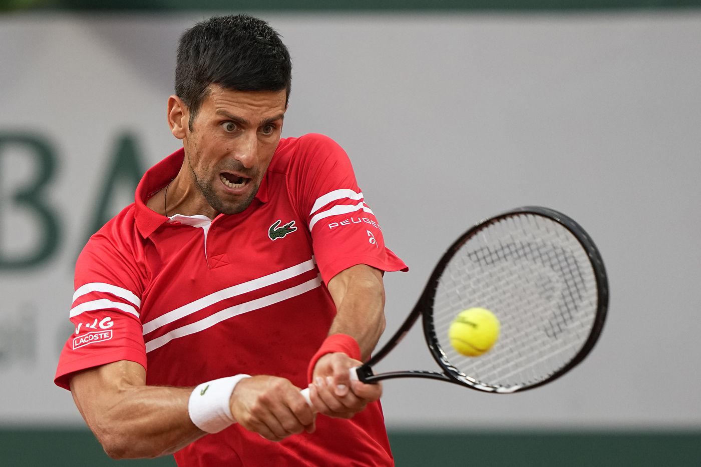 Roland Garros, Berrettini lotta ma si arrende nei quarti a Djokovic