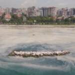 Catastrofe ambientale al largo della Turchia: mucillagine in mare