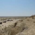 Uzbekistan: il lago d’Aral prosciugato diventa meta di turisti