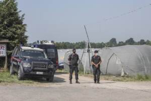 Novellara, proseguono le ricerche della giovane Saman Abbas