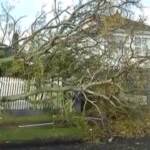 Nuova Zelanda, tornado colpisce Auckland: 1 morto