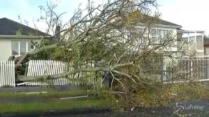Nuova Zelanda, tornado colpisce Auckland: 1 morto
