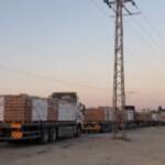 Gaza, dopo 40 giorni riprendono gli export agricoli